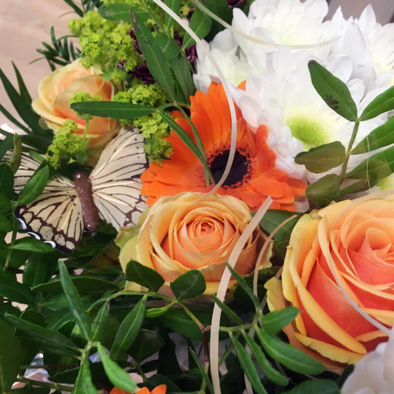 Presentbukett i aprikos, orange och vitt. En liten fjäril kompletterar blommorna.