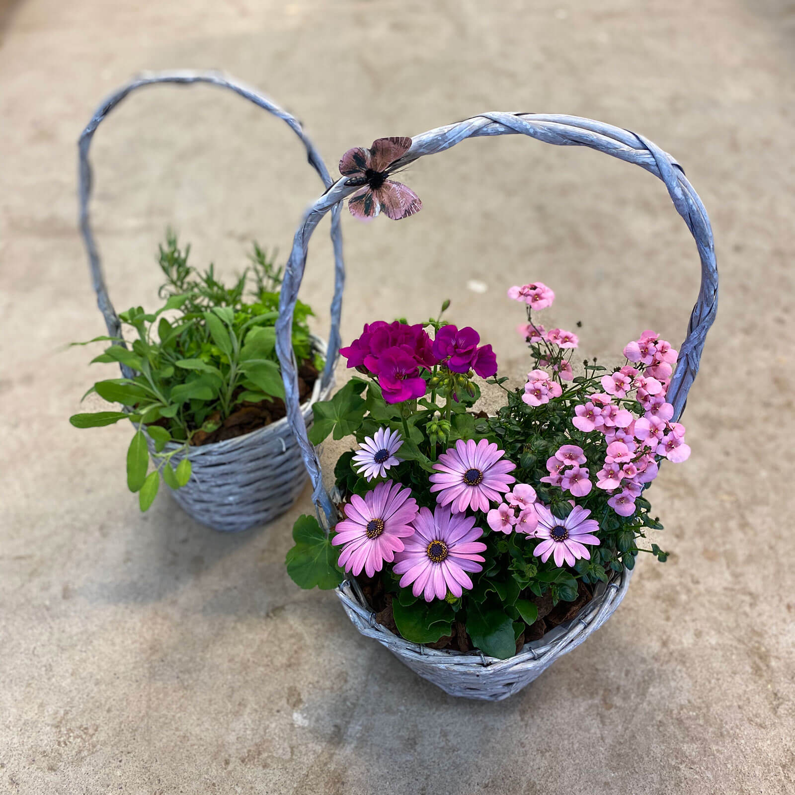 blommor-till-mor