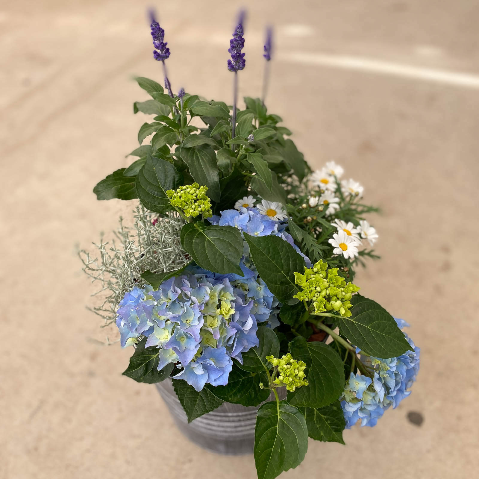 Sommarplantering Sommarplantering